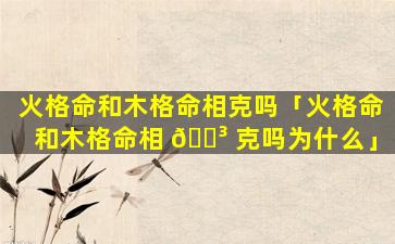 火格命和木格命相克吗「火格命和木格命相 🐳 克吗为什么」